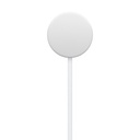 Apple Watch Magnetic Fast Charger to USB-C Cable (1m)