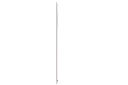 1000086791.webp