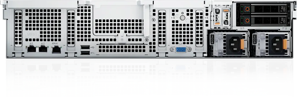 1000087729.webp